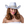 Load image into Gallery viewer, Texan Cowgirl - White /BRIDE