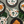 Load image into Gallery viewer, Paper plates Dinosaurs (18x18cm) - (6 pack)