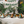 Load image into Gallery viewer, Cup sleeves Dinosaur - (6 pack)