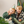 Load image into Gallery viewer, Party hats Dinosaurs, 14 cm, - (6 pack)