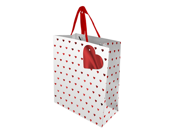 Valentine's Day Large Gift Bag