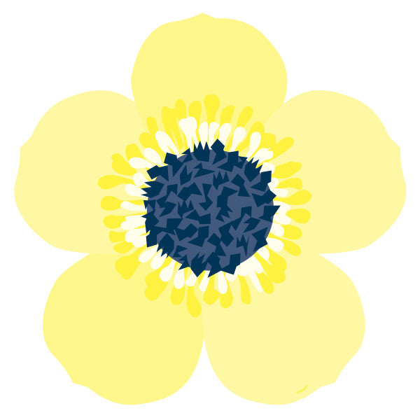 Flower Shaped Paper Placemats (8 pack)