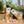 Load image into Gallery viewer, Paper Party Bags Safari 23 x 15 cm (10 Pack)
