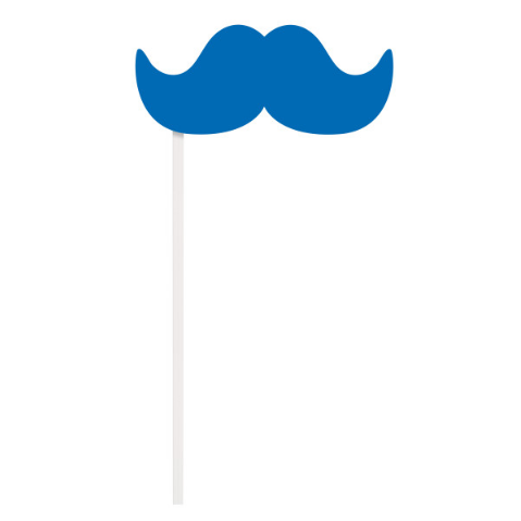 Birthday Photo Booth Props (10 Pack)