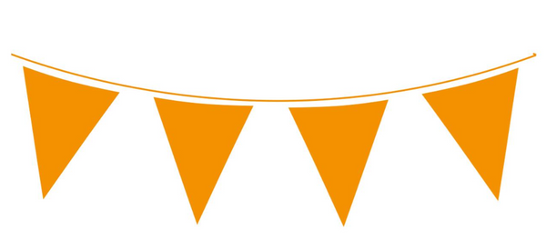 Orange Waterproof Bunting (10M)