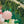 Load image into Gallery viewer, Flower Foil Balloon (70x62cm)