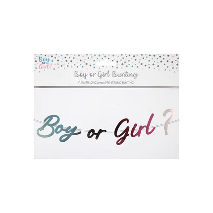 Boy or girl foil banner