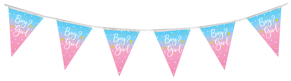 Party Bunting Boy or Girl Gender Reveal 11 flags -(3.9m)