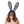 Load image into Gallery viewer, Lace Bunny Ears with Veil
