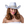 Load image into Gallery viewer, Texan Cowgirl - White /BRIDE
