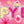 Load image into Gallery viewer, Happy 5th Birthday Foil Banners Pink - (270cm x 12.5 cm)
