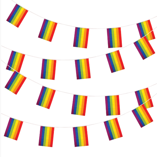 Rainbow Bunting 20 Flags- (10m)