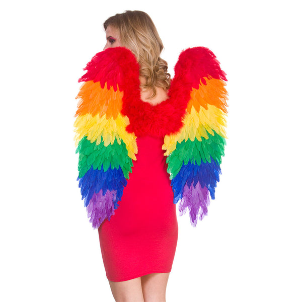 Large Rainbow Feather Wings - (75x75cm)