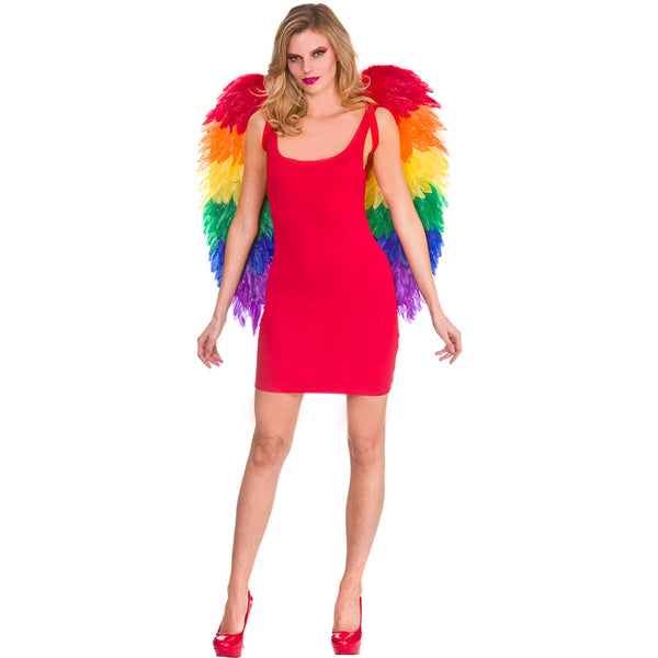 Large Rainbow Feather Wings - (75x75cm)