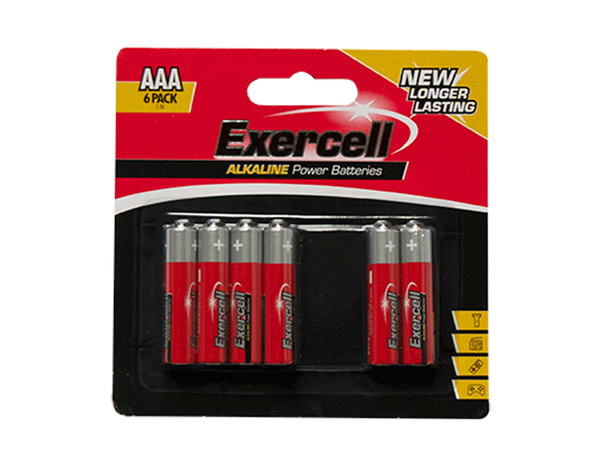 Alkaline AAA Batteries - (6 Pack)