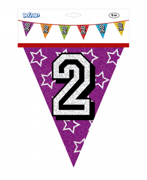Holographic bunting '2' (8 m)