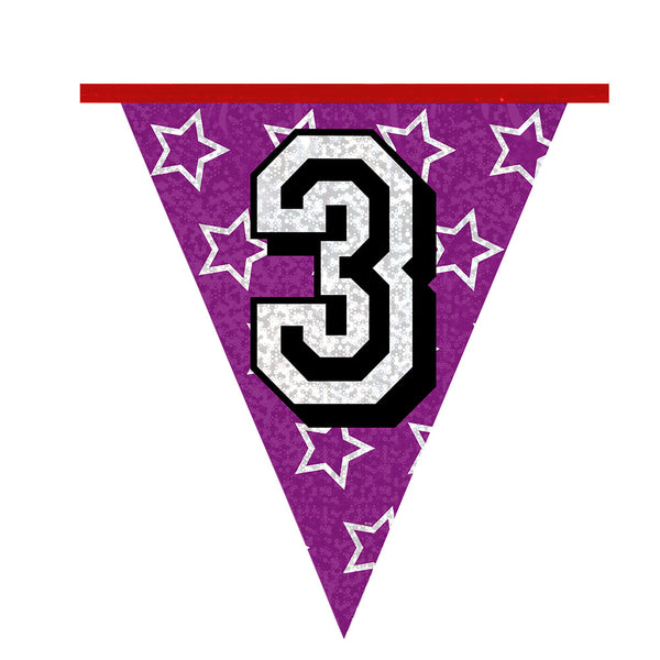 Holographic bunting '3' (8 m)