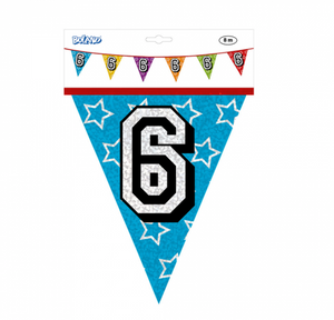 Holographic bunting '6' (8 m)