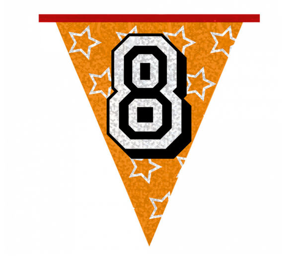 Holographic bunting '8' (8 m)