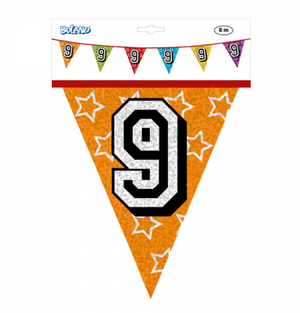 Holographic bunting '9' (8 m)