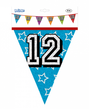Holographic bunting '12' (8 m)