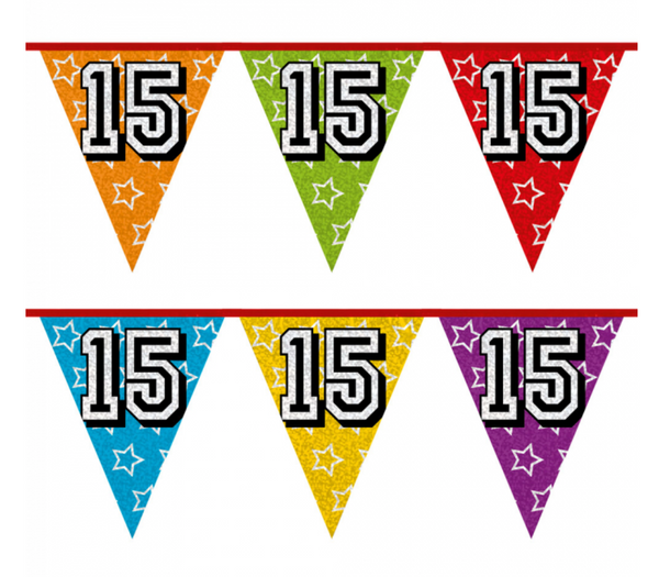 Holographic bunting '15' (8 m)