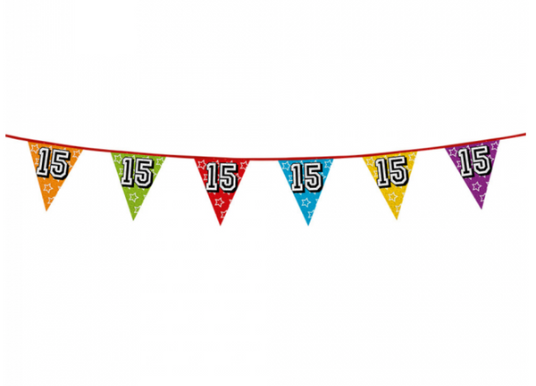 Holographic bunting '15' (8 m)