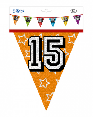 Holographic bunting '15' (8 m)