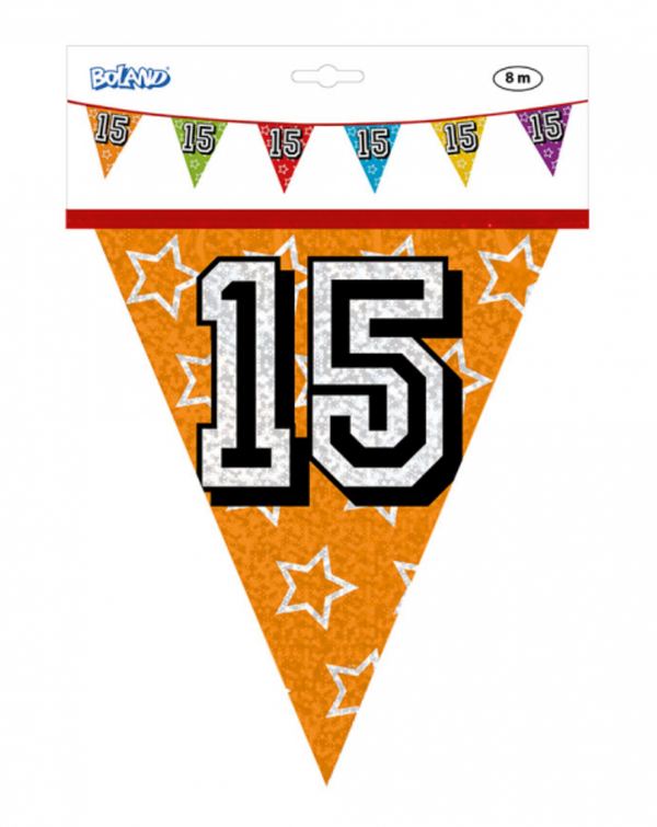 Holographic bunting '15' (8 m)