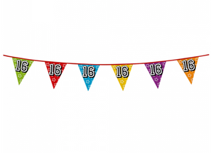Holographic bunting '16' (8 m)