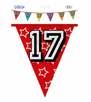Holographic bunting '17' (8 m)