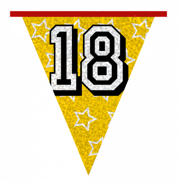 Holographic bunting '18' (8 m)