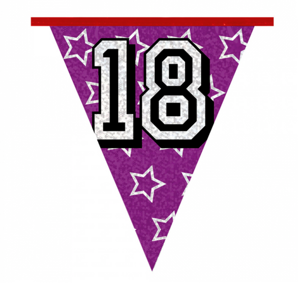 Holographic bunting '18' (8 m)