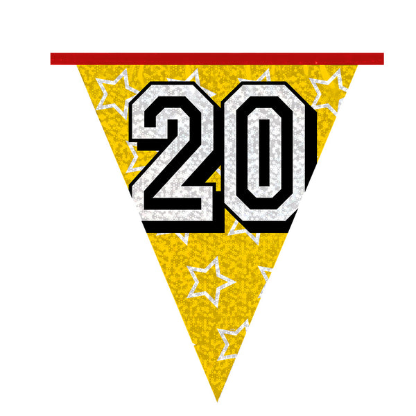 Holographic bunting '20' (8 m)
