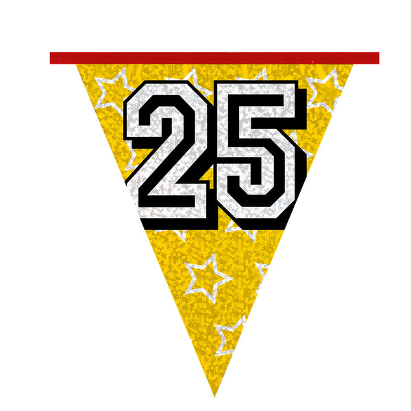 Holographic bunting '25' (8 m)