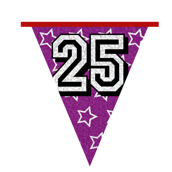 Holographic bunting '25' (8 m)