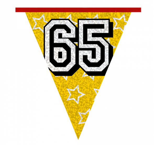 Holographic bunting '65' (8 m)