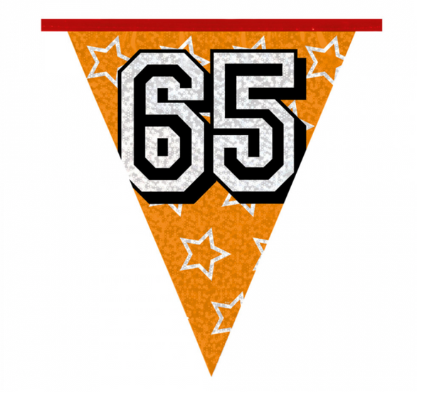 Holographic bunting '65' (8 m)