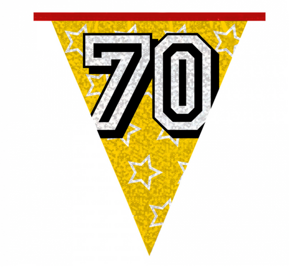 Holographic bunting '70' (8 m)