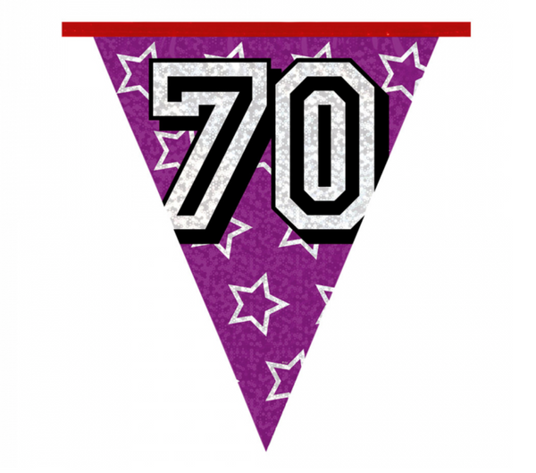 Holographic bunting '70' (8 m)