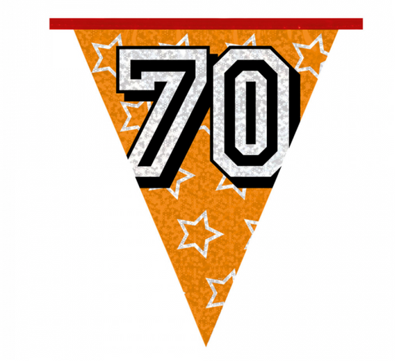 Holographic bunting '70' (8 m)