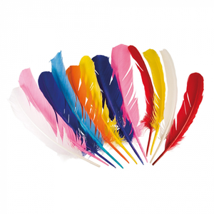 Set 12 Indian feathers 7 colours ass. (30 cm)