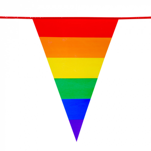 PE bunting Rainbow (8 m)