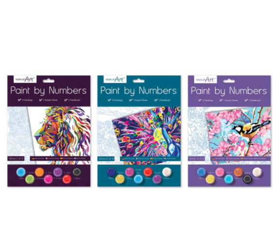 Paint By Numbers Adult 3 designs