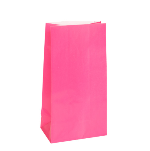 Hot Pink Paper Party Bags (12 Pack)