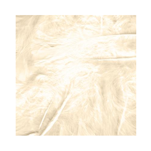 Craft Marabout Feathers Mixed sizes 3inch-8inch Ivory No.61 (8g bag)