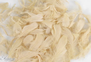 Eleganza Craft Marabout Feathers Mixed sizes 3-8inch Pampas No.115 (8g bag)