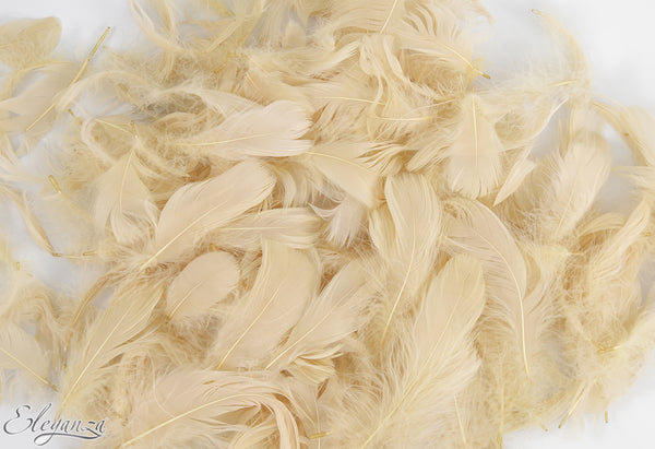 Eleganza Craft Marabout Feathers Mixed sizes 3-8inch Pampas No.115 (8g bag)