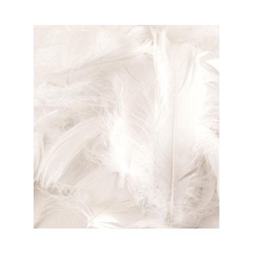 Feathers Mixed sizes 3inch-5inch White No.01 (50g bag)