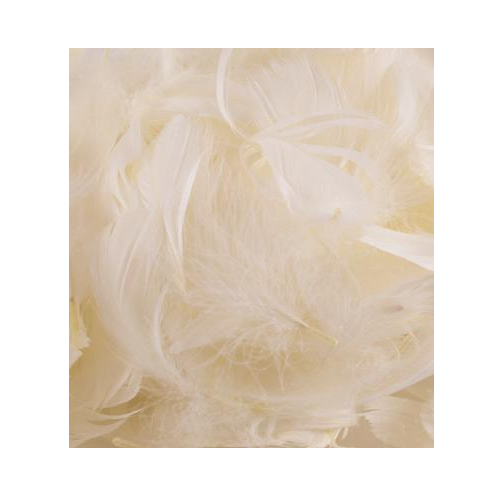Feathers Mixed sizes 3inch-5inch Ivory No.61 (50g bag)